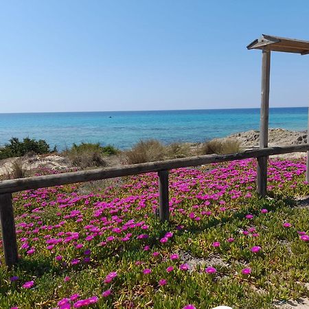 Home Salento 1 托雷瓦多 外观 照片