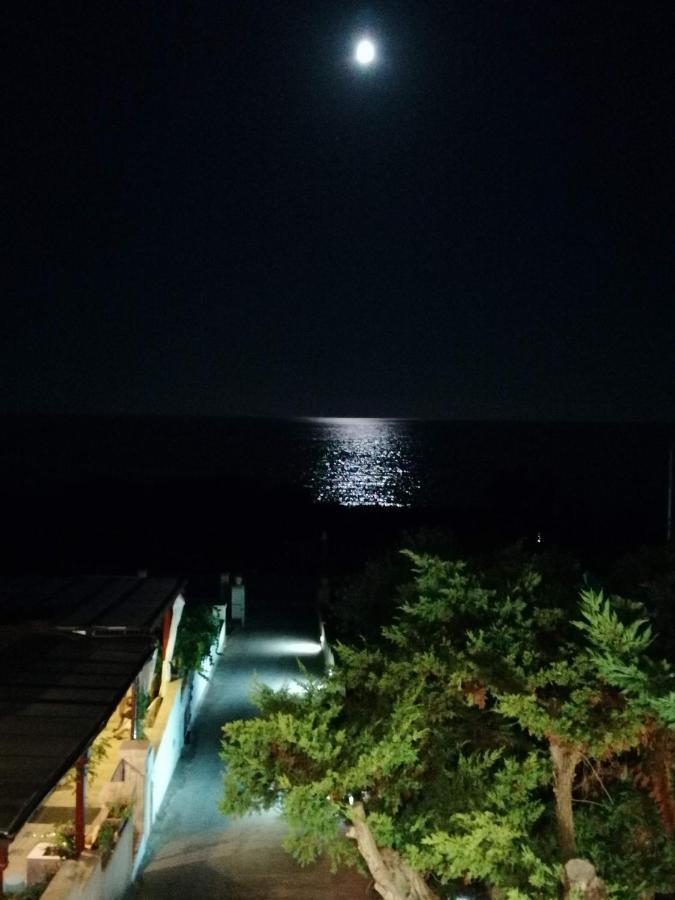 Home Salento 1 托雷瓦多 外观 照片